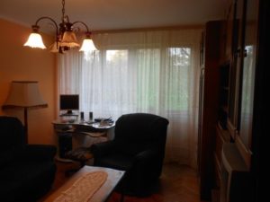 Na prodaju dvosoban stan, Zrenjanin, Lesnina Slika 2