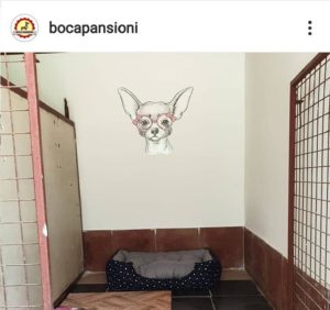 Pansioni za pse Boca Slika 3 Pansioni za pse Boca Slika 3