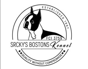 Boston terijer muzjaci slobodni za parenje Slika 1 Boston terijer muzjaci slobodni za parenje Slika 1