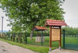 Americka akita Slika 7 Americka akita Slika 7
