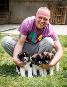 Američka Akita Slika 10 Američka Akita Slika 10