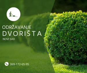 Održavanje dvorišta, košenje, obaranje drveća Slika 1