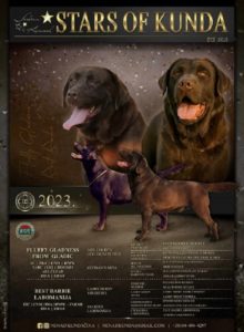 Labrador retriver stenci braon boje Slika 1 Labrador retriver stenci braon boje Slika 1