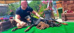 Doberman PRELEPI štenci Slika 4 Doberman PRELEPI štenci Slika 4