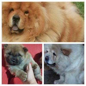 Prelepi muzjak i zenka izlozbenog potencijala Slika 3