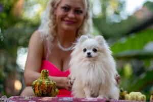 Pomeranac štenci Slika 6 Pomeranac štenci Slika 6