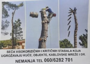 Seča Visokorizičnih stabala Slika 1 Seča Visokorizičnih stabala Slika 1