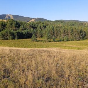 Prodajem plac Zlatibor-Tornik Slika 5 Prodajem plac Zlatibor-Tornik Slika 5