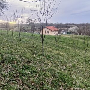 Placevi povoljno Jabucje-Kragujevac Slika 12 Placevi povoljno Jabucje-Kragujevac Slika 12