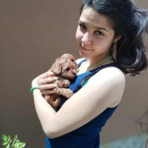 Crvena toy pudla Slika 5 Crvena toy pudla Slika 5