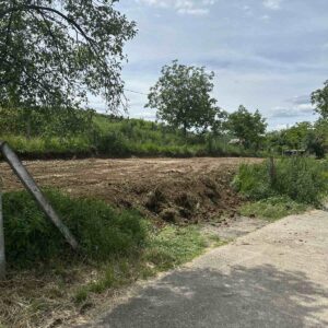 Plac na obroncima Fruske Gore Slika 4 Plac na obroncima Fruske Gore Slika 4