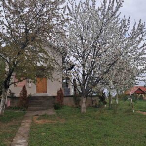 Vikendica na Fruškoj gori, 156m2 Slika 2 Vikendica na Fruškoj gori, 156m2 Slika 2