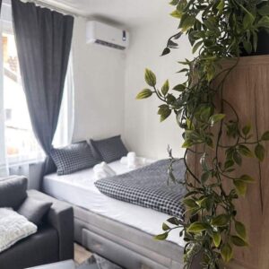 EKSKLUZIVNA PRODAJA-polovina vile sa 2 apartmana u centru Ma Slika 2