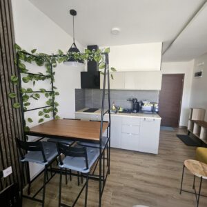 Prodaje se luksuzan studio-apartman na Kopaoniku Slika 8 Prodaje se luksuzan studio-apartman na Kopaoniku Slika 8