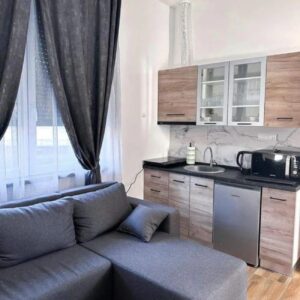 EKSKLUZIVNA PRODAJA-polovina vile sa 2 apartmana u centru Ma Slika 8
