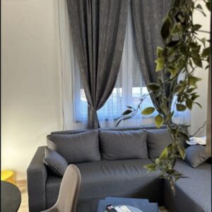 EKSKLUZIVNA PRODAJA-polovina vile sa 2 apartmana u centru Ma Slika 9