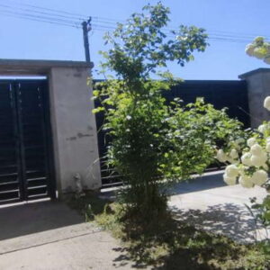 Na prodaju kuća u Bačkom Gračacu Slika 4