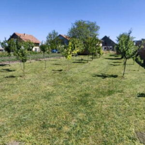 Na prodaju kuća u Bačkom Gračacu Slika 5