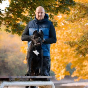 Cane Corso mužjak na prodaju Slika 2