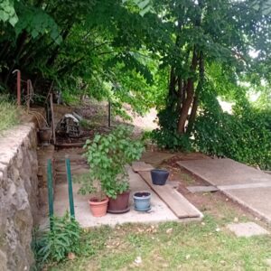 Avala, blizu megamarketa Koka Mar, 200 m2 Slika 10