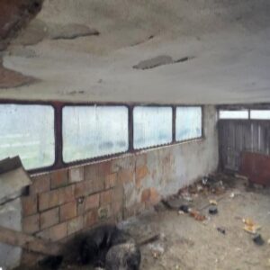 Porodična tipska kuća u Begeču Slika 10