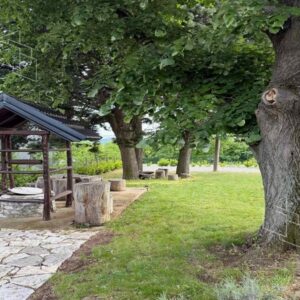 Mislođin-Obrenovac,nameštena dvoetažna kuća sa bazenom Slika 8