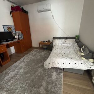 Palilula-Borca 220m2+75m2 na 6.5 ari placa Slika 11 Palilula-Borca 220m2+75m2 na 6.5 ari placa Slika 11