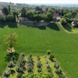 Plac Krcedin,put Janda 7700m2+materijal za izgradnju Slika 3 Plac Krcedin,put Janda 7700m2+materijal za izgradnju Slika 3