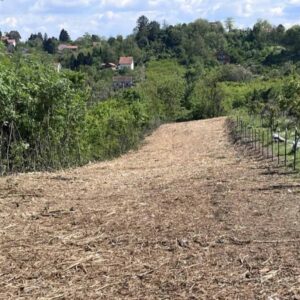 Na prodaju plac u Zaklopači-Grocka Slika 3