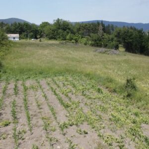 Plac na Divcibarama-selo Rosici Slika 6