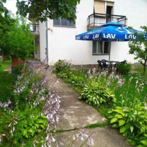 Kuca u Surdulici,180m2,6ari placa Slika 10