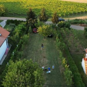 Vikendica Fruska Gora-Vizic 62m2,8.5ari placa Slika 11