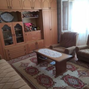 Kuca u Surdulici,180m2,6ari placa Slika 2