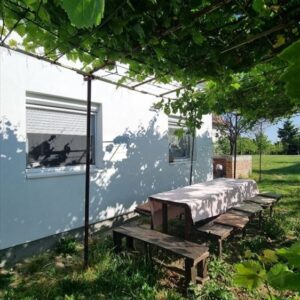 Vikendica Fruska Gora-Vizic 62m2,8.5ari placa Slika 4