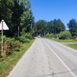 Prodajem plac na planini Goč Slika 4