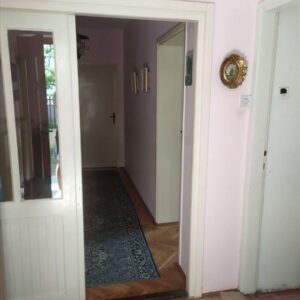 Kuca u Surdulici,180m2,6ari placa Slika 8