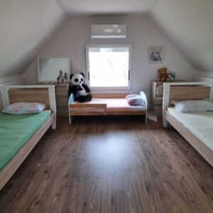 Vikendica Fruska Gora-Vizic 62m2,8.5ari placa Slika 9