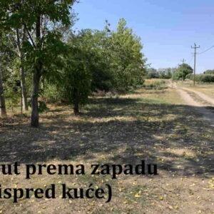 Prodaje se kuća/salaš u Hajdukovu na parceli od 3,5 jutra ze Slika 11 Prodaje se kuća/salaš u Hajdukovu na parceli od 3,5 jutra ze Slika 11