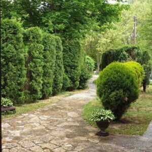 Stan-apartman u Beloj Crkvi Slika 12 Stan-apartman u Beloj Crkvi Slika 12