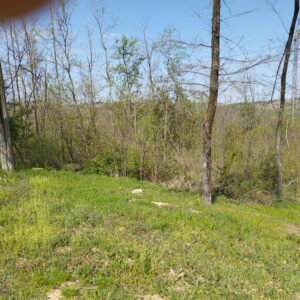 Gradjevinska zemljišta 31 i 45 ari-Jasenak(Obrenovac) Slika 3