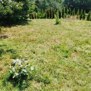 Plac Zaovine-Tara Slika 2 Plac Zaovine-Tara Slika 2