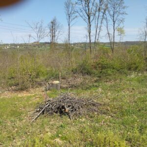 Gradjevinska zemljišta 31 i 45 ari-Jasenak(Obrenovac) Slika 5