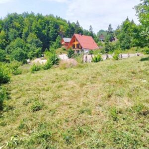 Plac Zaovine-Tara Slika 4 Plac Zaovine-Tara Slika 4