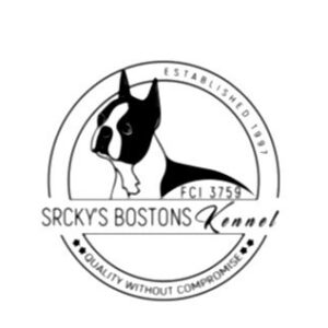 Boston terijer stenci Slika 3 Boston terijer stenci Slika 3