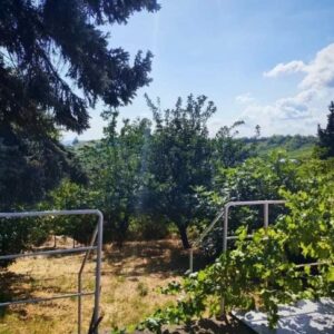 Porodična kuća na prodaju Beograd-Grocka Slika 4 Porodična kuća na prodaju Beograd-Grocka Slika 4
