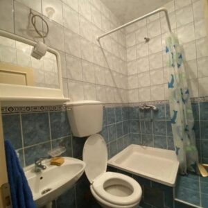 Prodajem kucu u Jagodini Slika 7